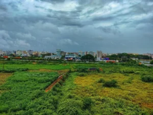 Premium 4.5 Cottah HIDCO Land for Sale in New Town Action Area 1 BF Block Kolkata